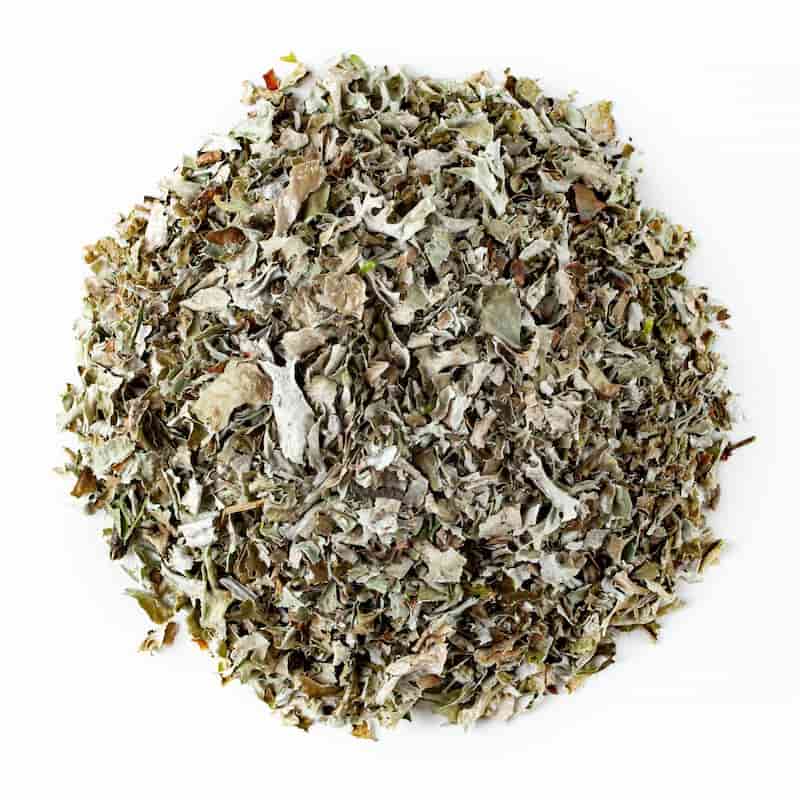 تصویر 3 از آویشن کوهی مازندران خوش عطر و کاملا طبیعی